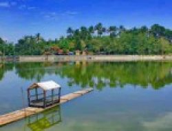 Ini Dia, 7 Tempat Wisata di Bogor yang Indah
