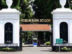 Imbas Virus Corona KRB Ditutup