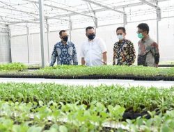 Yukkk Wisata ke Taman Agribisnis dan Teknologi IPB University