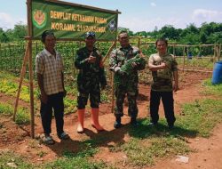 Dukung Pertanian, Koramil Jasinga Bantu Petani Tingkatkan Kesejehteraan