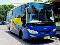 Dewan Usul PDJT Dipailitkan