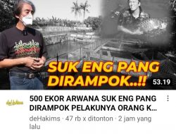 Channel YouTube DeHakims Rilis Permohonan Pembudidaya Ikan Arwana Super Red Kepada Presiden Jokowi