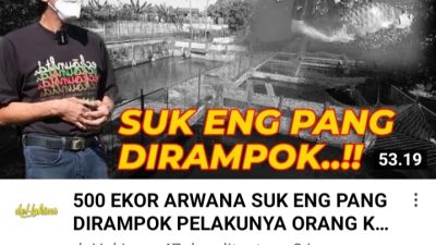Channel YouTube DeHakims Rilis Permohonan Pembudidaya Ikan Arwana Super Red Kepada Presiden Jokowi