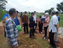 Sidang Lapangan, PT Ferry Sonneville Tak Bisa Tunjukan Batas Tanah