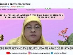 Prof Titi Candra Sunarti Ungkap Ganyong Sebagai Bahan Pangan Potensial