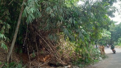UPT Jalan Dan Jembatan Wilayah 1 Cibinong Bersihkan Material Longsor, Kadus Pasir Jambu Ucapkan Terima Kasih