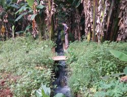 Saluran Pembuangan Limbah PT KIM Pakai Lahan Aset Desa, Camat Gunung Putri Minta Ditutup