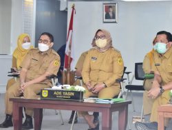 Ade Yasin Hadiri Konferensi Nasional Geopark Indonesia II Secara Virtual