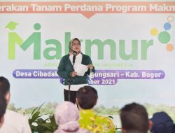 Ade Yasin Lakukan Gerakan Tanam Padi Program Makmur di Tanjungsari