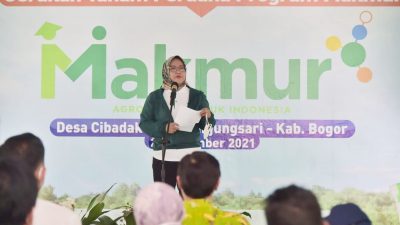Ade Yasin Lakukan Gerakan Tanam Padi Program Makmur di Tanjungsari