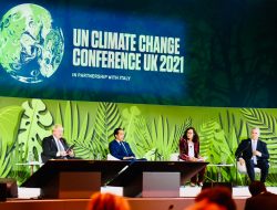 Jadikan Hutan Bagian Aksi Iklim Global, Jokowi Sampaikan Tiga Pandangan Ini