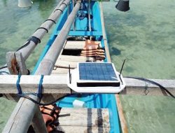Peneliti IPB University Berhasil Kembangkan Teknologi TREKFish, Mampu Telusuri Jejak Ikan