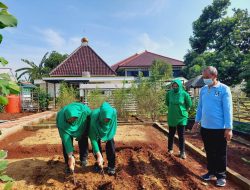 Dinas Ketahanan Pangan Kabupaten Bogor Gelar Jum’at Tanam dan Panen Bersama Bhayangkari dan Persit