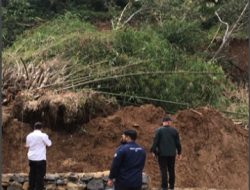 Doni Yusri IPB University Tinjau Lokasi Longsor di Desa Petir, Sampikan Hal Ini