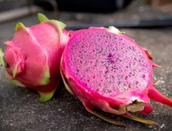 Buah Naga Ternyata Memiliki Segudang Manfaat Untuk Kesehatan, Apa Saja?