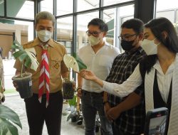 Green Box Gardening & Plants Hadir Di Boxies Mal, Ini Kata Dedie Rachim