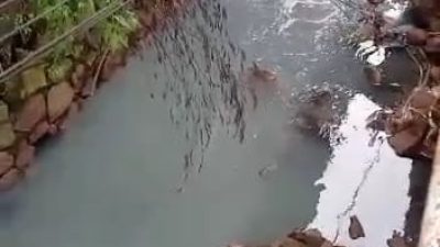 DLH Kabupaten Bogor Akan Telusuri Penyebab Tercemarnya Sungai Cibeber