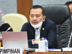 Pemerintah Pusat dan Daerah Belum Senafas Soal Rekrutmen Guru PPPK