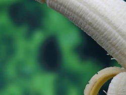 Inilah Ukuran Penis yang Normal Berdasarkan Ras, Orang Indonesia Segini Loh!