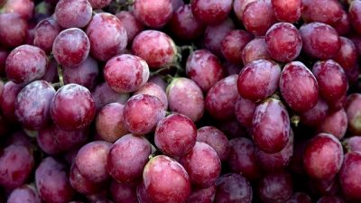 Ini Dia Jenis Buah yang Mampu Mengatasi Sakit Pinggang Anda, Nomor 8 Gak Nyangka