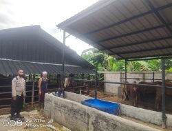 Polres Bogor Lakukan Monitoring Penyebaran Virus PMK, Ini Hasilnya