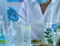 Penerapan Bioteknologi Untuk Meningkatkan Kualitas Produk Pertanian