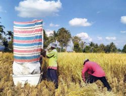 Pentingnya Asuransi Bagi Petani
