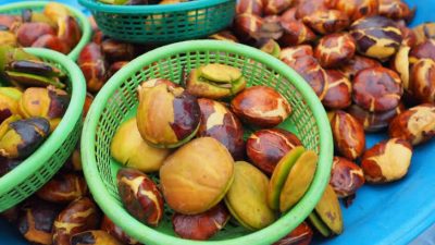 Jengkol Dibenci Karena Baunya, Tapi Ternyata Kaya Vitamin, Apa Saja?