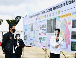 Tantangan Program Food Estate, Upaya Pemerintah untuk Ketahanan Pangan Nasional