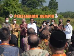 Jokowi Resmikan Persemaian Rumpin dan Peluncuran Mangrove