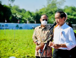 Jokowi Instruksikan Kemlu dan Dubes Bantu Kepulangan Jenazah Eril Putra Ridwan Kamil