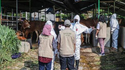 Arus Keluar Masuk Hewan di RPH Bubulak Ditutup Hingga 29 Juni