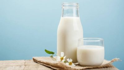 Bukti Kuat Pentingnya Susu Bagi Kesehatan Manusia
