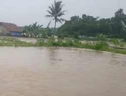 Puluhan Hektar Kolam Budidaya Ikan Warga Terendam Banjir Akibat Kali Kabayan Meluap