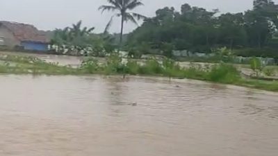 Puluhan Hektar Kolam Budidaya Ikan Warga Terendam Banjir Akibat Kali Kabayan Meluap