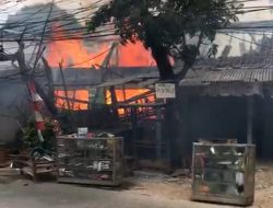 Diduga Ditinggal Pergi Saat Masak, 4 Ruko di Cicadas Dilalap Si Jago Merah