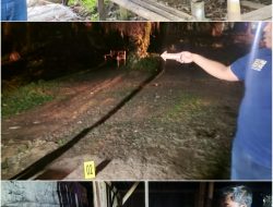 Setubuhi Anak Dibawah Umur di Kebun Sawit, Pelaku M Ditangkap Polres Bogor