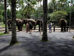 6 Tempat wisata terbaik di Bali : Wajib dikunjungi