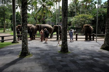 1-bali zoo