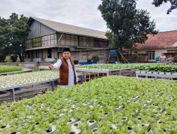 Wujudkan Kecukupan Pangan Warganya, Pemdes Wanaherang Realisasikan Program Ketahanan Pangan