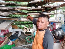Harga Kedelai Melambung Tinggi, Pengusaha Tempe Rumahan di Cileungsi Terancam Gulung Tikar