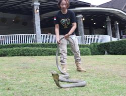 Aktivis Ini Bakal Pidanakan Oknum Diduga Terlibat Penelantaran Satwa di Mini Zoo Bogor