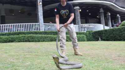 Aktivis Ini Bakal Pidanakan Oknum Diduga Terlibat Penelantaran Satwa di Mini Zoo Bogor