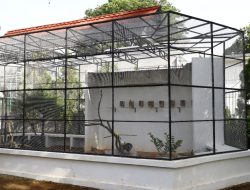 Kereeen, Kini Cibinong Situ Plaza Punya Aviari Lengkap Dengan Aneka Satwa