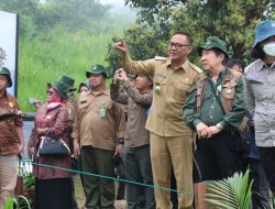 Iwan Lepasliarkan Sepasang Elang Jawa Jelita dan Parama ke Alam Bebas