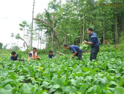 Pabrik AQUA Babakanpari Sukabumi Konservasi Alam Lewat Taman Kehati