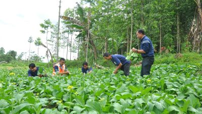 Pabrik AQUA Babakanpari Sukabumi Konservasi Alam Lewat Taman Kehati