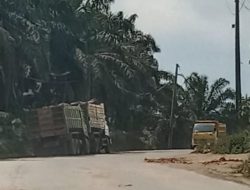 Galian Tanah Perusahaan Tambang Lebak wangi Cigudeg, Diduga langgar IUP