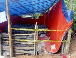 Petugas Gabungan Kembali Segel Tambang Ilegal di Tanjungsari, Polisi Bakal Panggil Penambang