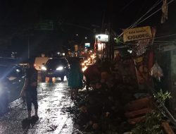 Pohon Tumbang Timpa Pedagang Buah di Cigudeg, Lalin Macet 7 KM